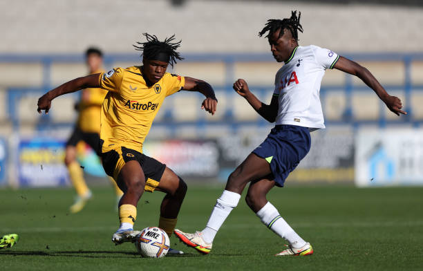 是理想的比 是理想的比